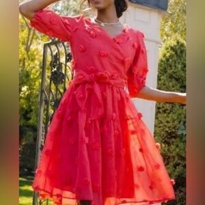 Ivy City Co Red Pom Pom Dress